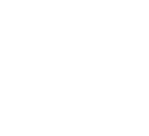 WMH Project